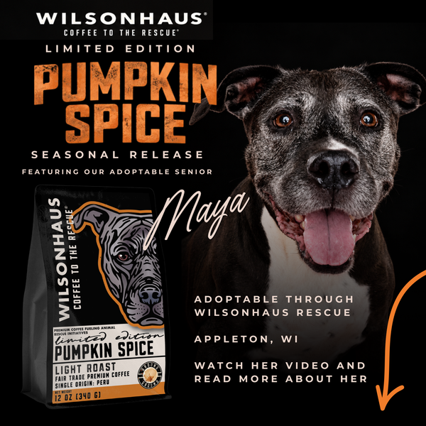 Pumpkin Spice  - LIMITED EDITION